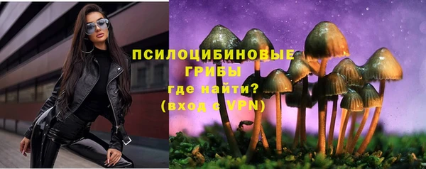 spice Михайлов