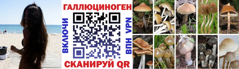 Псилоцибиновые грибы GOLDEN TEACHER  Заозёрск 